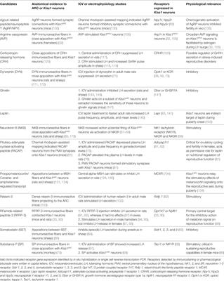 The Role of Kiss1 Neurons As Integrators of Endocrine, Metabolic, and Environmental Factors in the Hypothalamic–Pituitary–Gonadal Axis